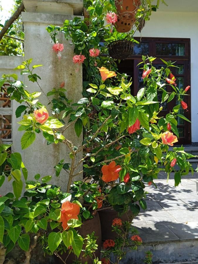 Anbang Morning Glory Beach Homestay 호이안 안방비치 숙소호텔 Экстерьер фото