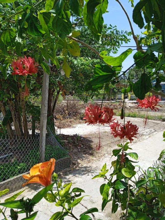 Anbang Morning Glory Beach Homestay 호이안 안방비치 숙소호텔 Экстерьер фото