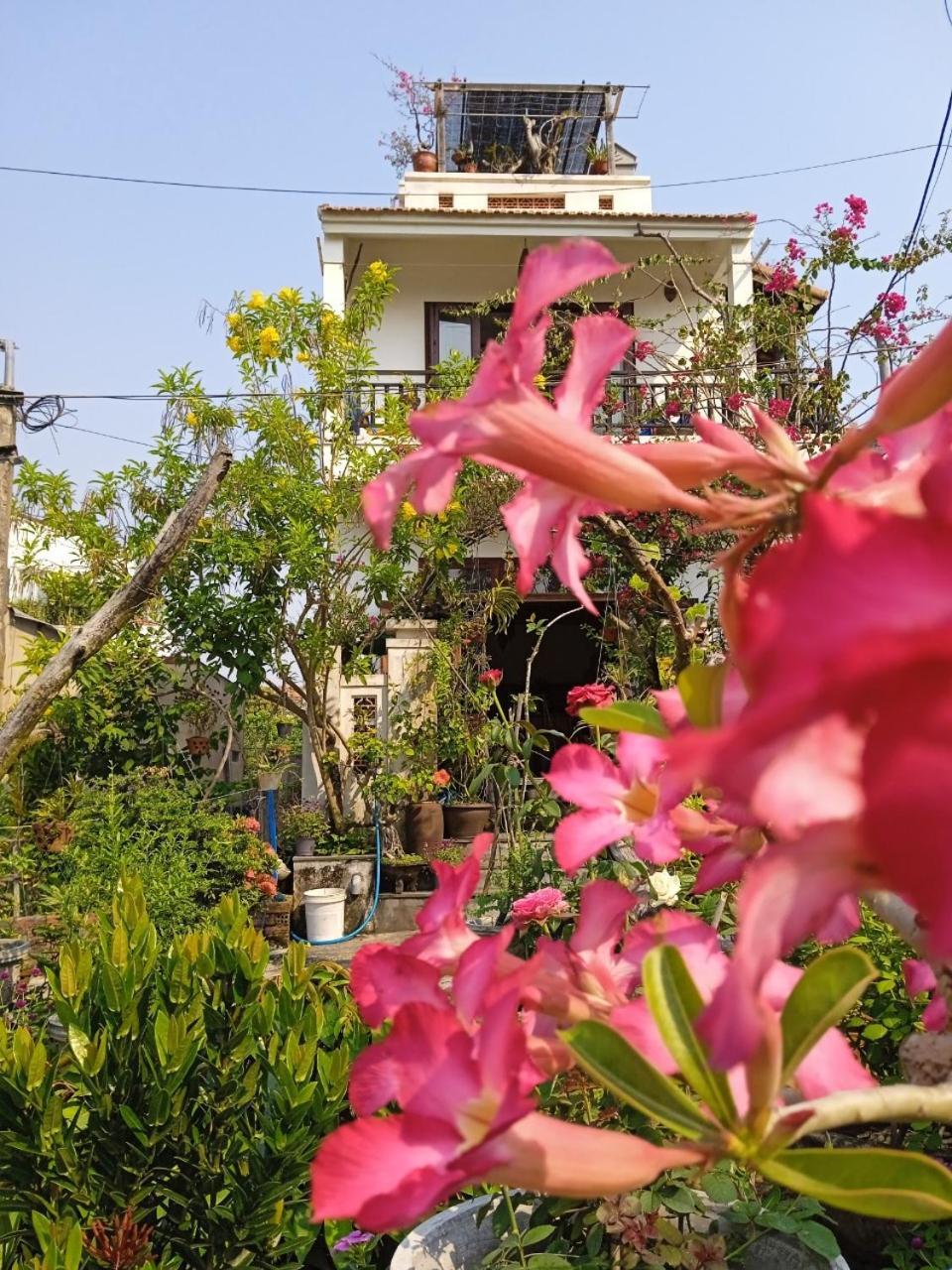 Anbang Morning Glory Beach Homestay 호이안 안방비치 숙소호텔 Экстерьер фото