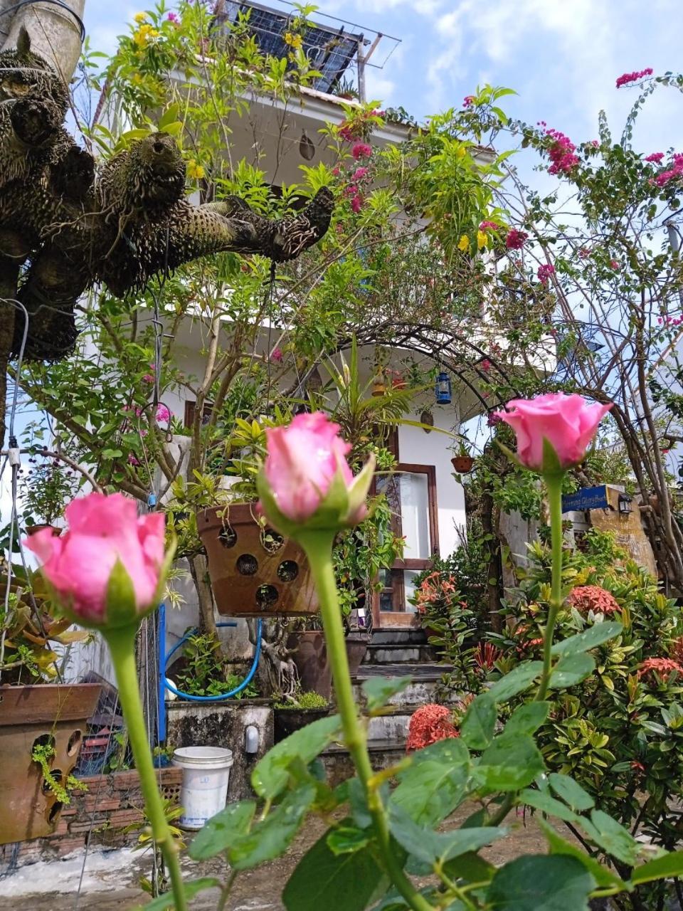 Anbang Morning Glory Beach Homestay 호이안 안방비치 숙소호텔 Экстерьер фото