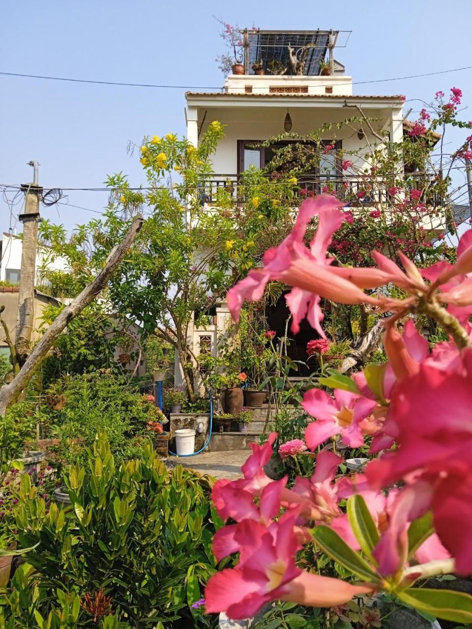 Anbang Morning Glory Beach Homestay 호이안 안방비치 숙소호텔 Экстерьер фото
