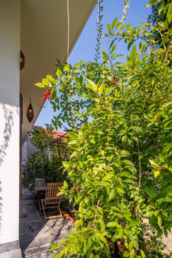 Anbang Morning Glory Beach Homestay 호이안 안방비치 숙소호텔 Экстерьер фото